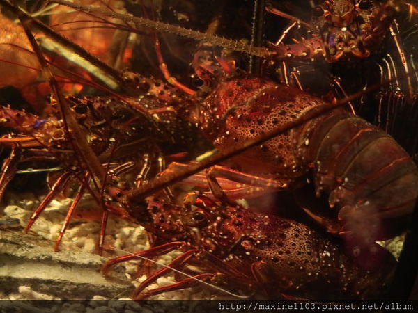 IMG_6417.JPG IMG_6417.JPG