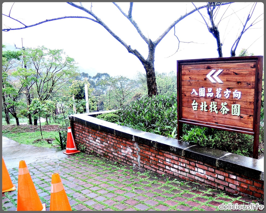 台北找茶園-4 台北找茶園-4
