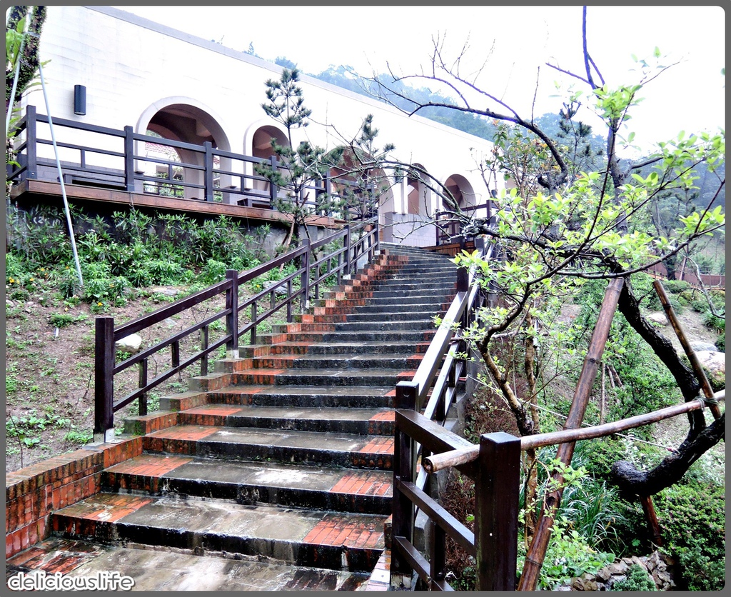 台北找茶園-6 台北找茶園-6