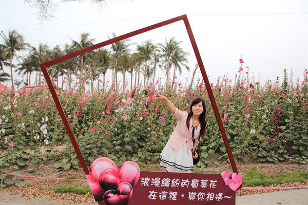 學甲蜀葵花季:【台南景點】學甲蜀葵花季~過港子風華再現/LOVE造景/蜀葵花海/三合院矮房彩繪和創意布置