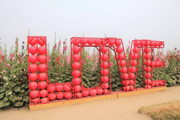 學甲蜀葵花季:【台南景點】學甲蜀葵花季~過港子風華再現/LOVE造景/蜀葵花海/三合院矮房彩繪和創意布置