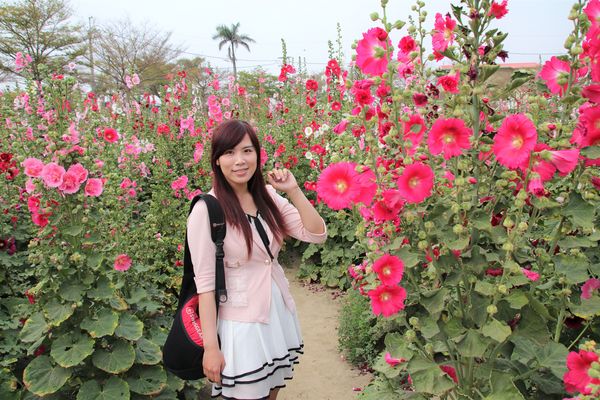 學甲蜀葵花季:【台南景點】學甲蜀葵花季~過港子風華再現/LOVE造景/蜀葵花海/三合院矮房彩繪和創意布置