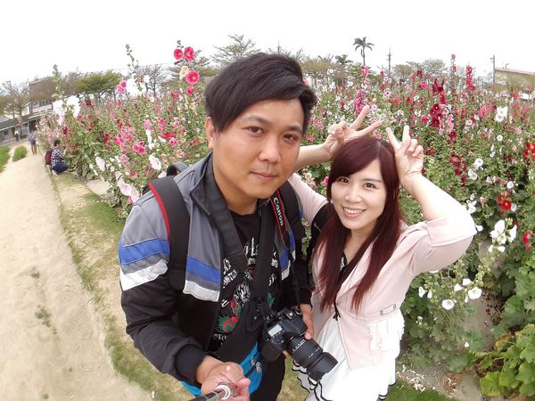 學甲蜀葵花季:【台南景點】學甲蜀葵花季~過港子風華再現/LOVE造景/蜀葵花海/三合院矮房彩繪和創意布置