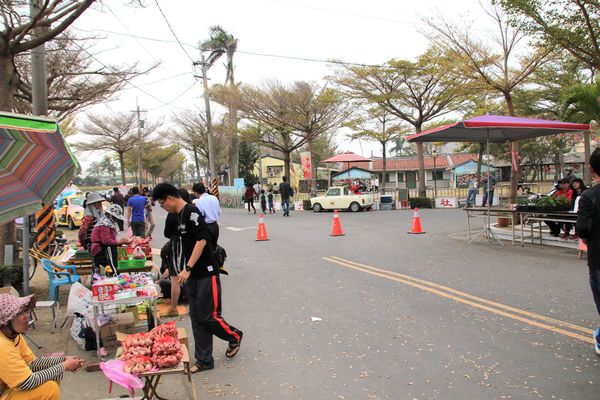 學甲蜀葵花季:【台南景點】學甲蜀葵花季~過港子風華再現/LOVE造景/蜀葵花海/三合院矮房彩繪和創意布置