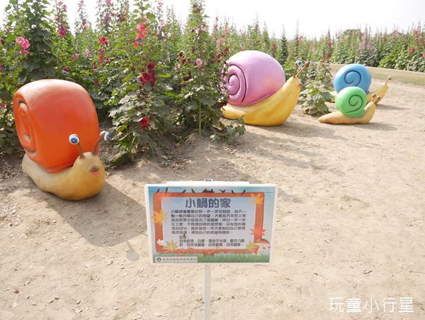 學甲蜀葵花小麥產業文化節21.JPG 學甲蜀葵花小麥產業文化節21.JPG