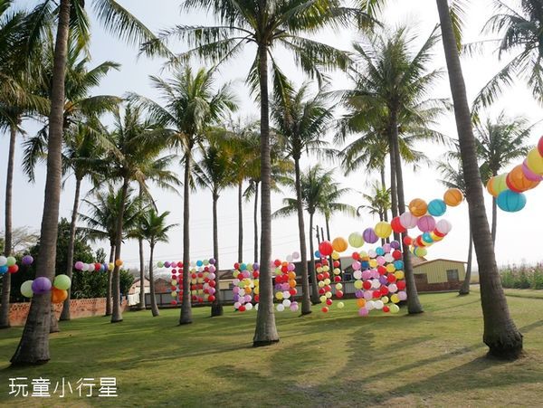 學甲蜀葵花小麥產業文化節5.JPG 學甲蜀葵花小麥產業文化節5.JPG