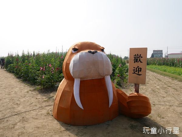 學甲蜀葵花小麥產業文化節8.JPG 學甲蜀葵花小麥產業文化節8.JPG