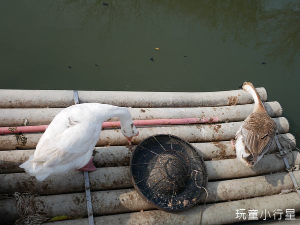 學甲光華里4.JPG 學甲光華里4.JPG