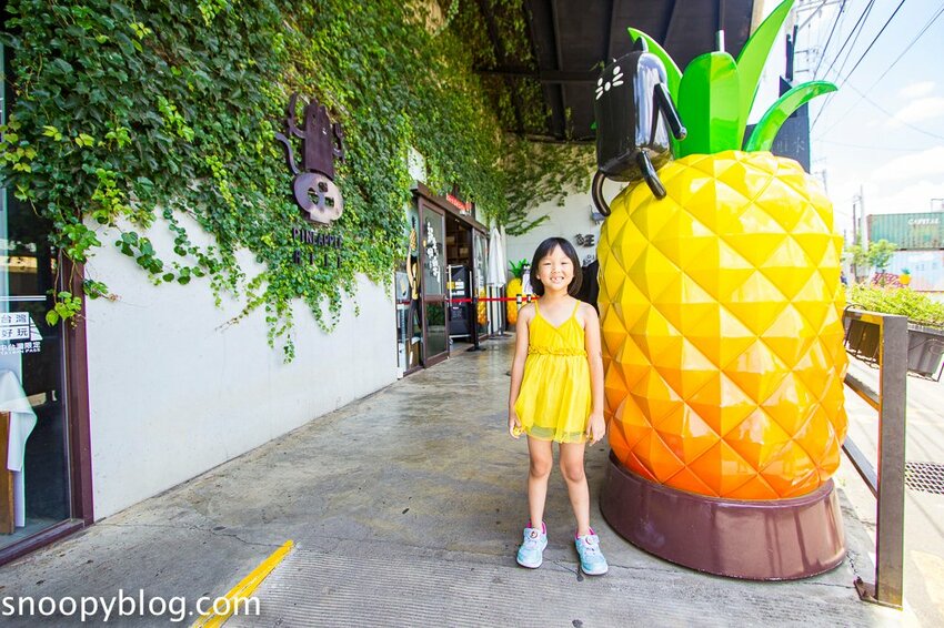 【嘉義民雄景點】旺萊山鳳梨文化園區～超佛心免門票、免費停車、免費試吃鳳梨酥，還有超好拍的鳳梨田