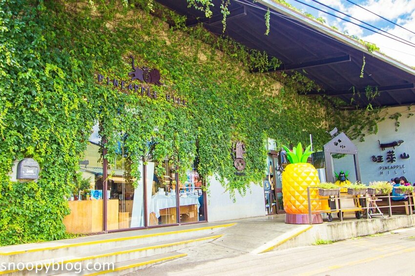 【嘉義民雄景點】旺萊山鳳梨文化園區～超佛心免門票、免費停車、免費試吃鳳梨酥，還有超好拍的鳳梨田