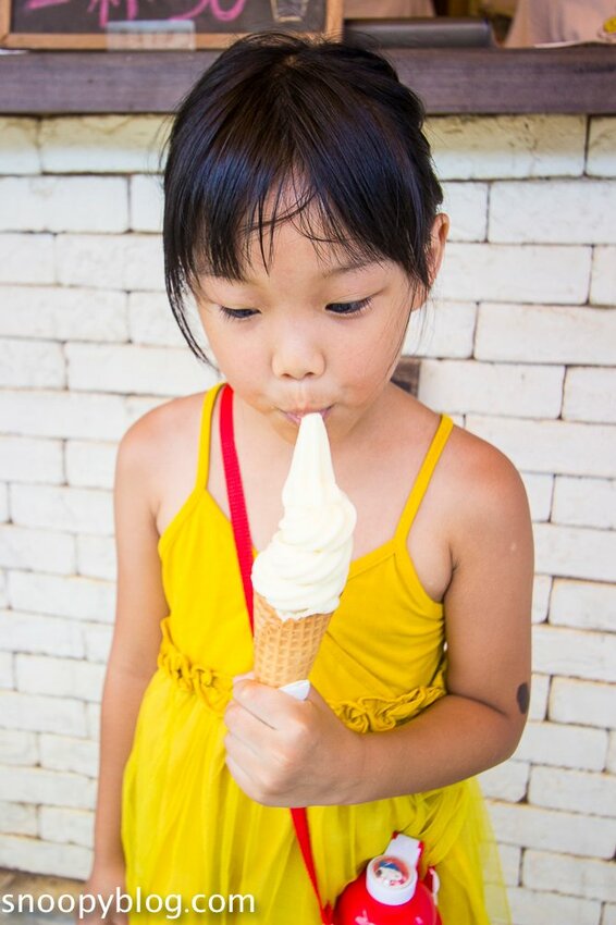 【嘉義民雄景點】旺萊山鳳梨文化園區～超佛心免門票、免費停車、免費試吃鳳梨酥，還有超好拍的鳳梨田