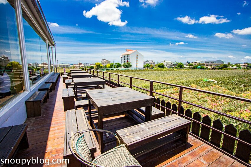 【嘉義民雄景點】旺萊山鳳梨文化園區～超佛心免門票、免費停車、免費試吃鳳梨酥，還有超好拍的鳳梨田