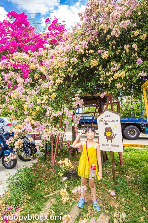 【嘉義民雄景點】旺萊山鳳梨文化園區～超佛心免門票、免費停車、免費試吃鳳梨酥，還有超好拍的鳳梨田