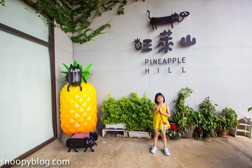【嘉義民雄景點】旺萊山鳳梨文化園區～超佛心免門票、免費停車、免費試吃鳳梨酥，還有超好拍的鳳梨田