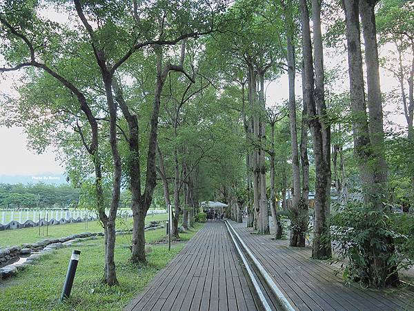 P7300041_調整大小