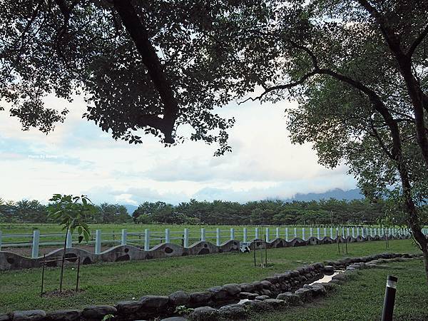 P7300010_調整大小