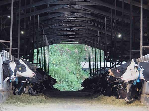 P7300048_調整大小