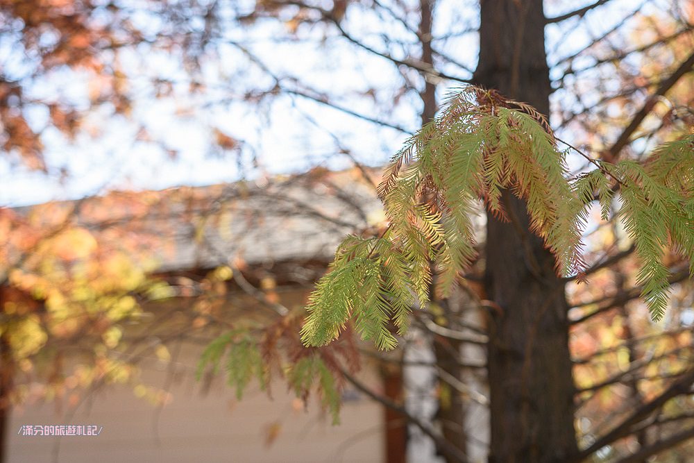 台中北屯景點》蝴蝶橋Cuisine法式餐廳 蝴蝶橋落羽松莊園 巨人彩虹大椅超吸睛 情侶約會LOVE景點 - 滿分的旅遊札記
