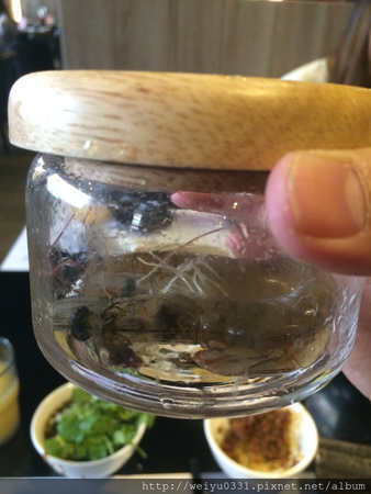 東區麻辣火鍋吃到飽、市民大道美食－《若水臨．品鍋》饌巴黎集團好味道！