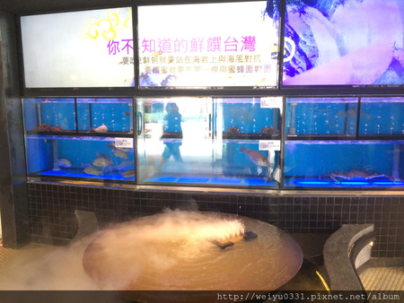 東區麻辣火鍋吃到飽、市民大道美食－《若水臨．品鍋》饌巴黎集團好味道！