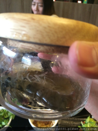 東區麻辣火鍋吃到飽、市民大道美食－《若水臨．品鍋》饌巴黎集團好味道！