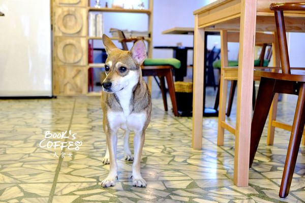 DSCF0013.jpg DSCF0013.jpg