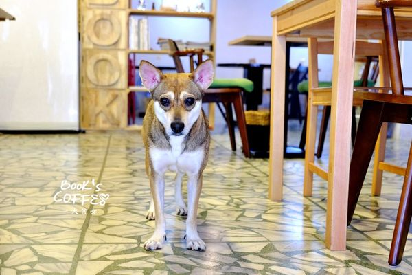 DSCF0012.jpg DSCF0012.jpg