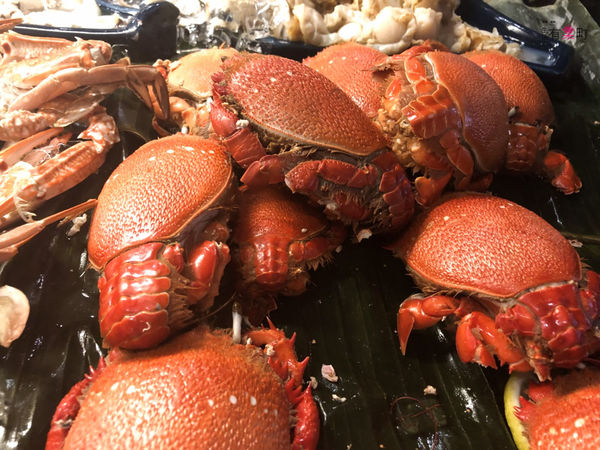 【台北大安美食】香格里拉台北遠東國際飯店：遠東Café春季限定「心鮮沖繩」海鮮節，新鮮直送頂級海鮮，台北buffet吃到飽餐廳推薦，近六張犁捷運站