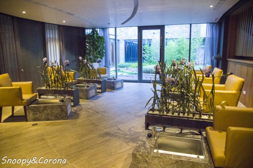 【台中住宿】逢甲夜市住宿推薦／星享道酒店INSKY HOTEL～設施豐富、早餐豐盛，到逢甲夜市步行只要3分鐘