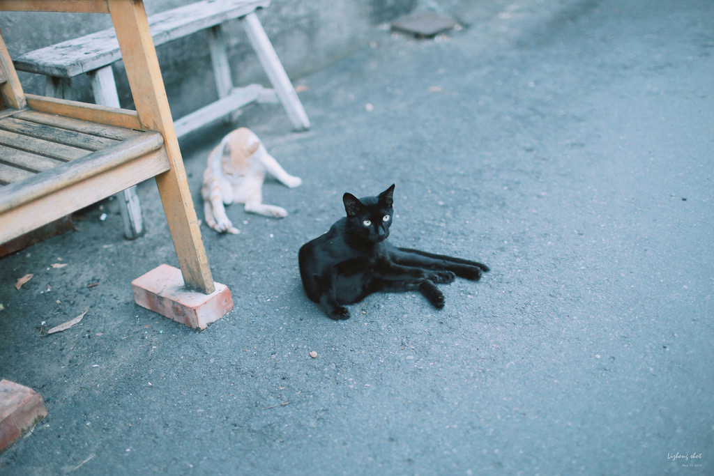 府城兩日小旅行，NO.2