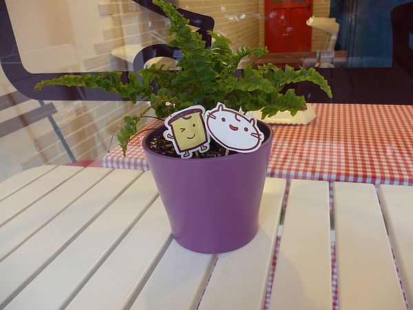 2gether(晴光店)：終於盼到開分店--2gether(晴光店)口碑券体驗心得