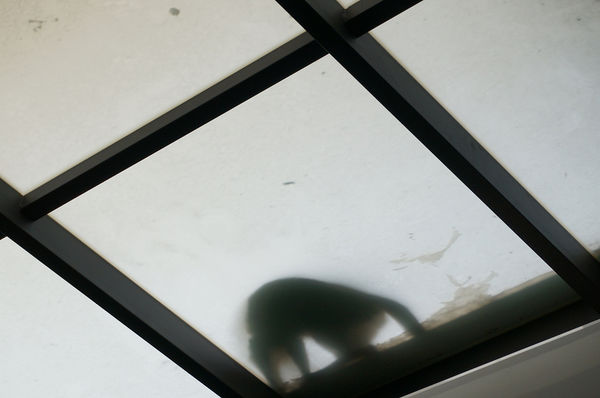 DSC07227.jpg DSC07227.jpg