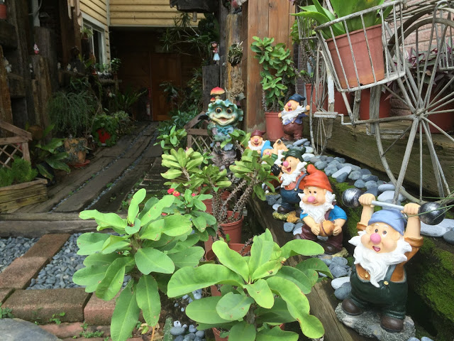 台中新社 「花田民宿」- SGS認證民宿 台中後花園新社的必住民宿!