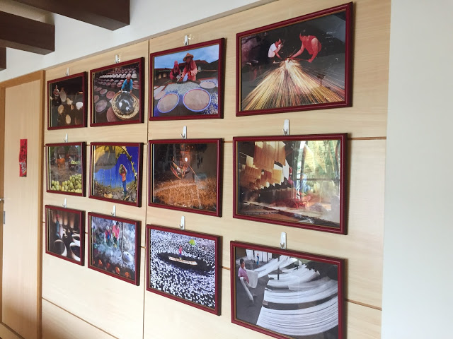 台中新社 「花田民宿」- SGS認證民宿 台中後花園新社的必住民宿!