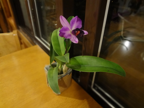 cm20130915___ab5bebafc6a1c39ed545547d7a1