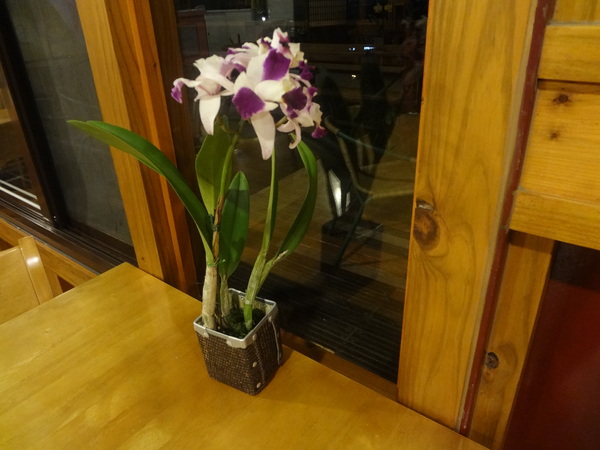 cm20130915___87b487b7d4f9f3eb7318ce57d46