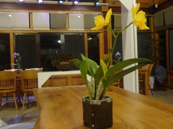 cm20130915___0301fee42891a7e5640327b4491