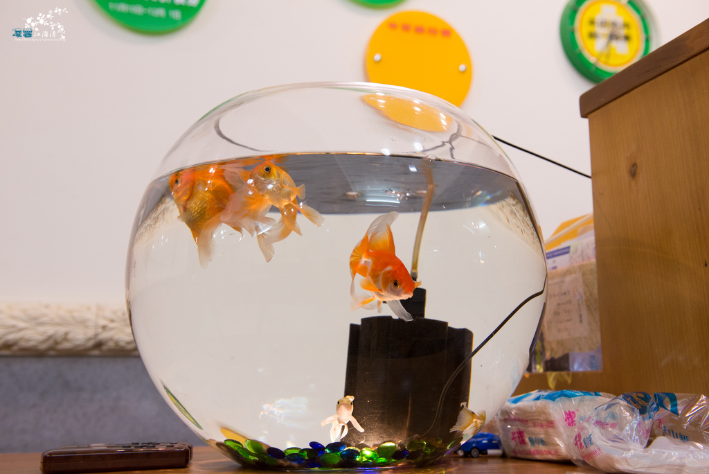 DSC_3284.jpg DSC_3284.jpg