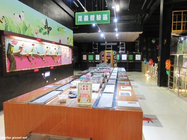 新嘉大昆蟲館4.JPG