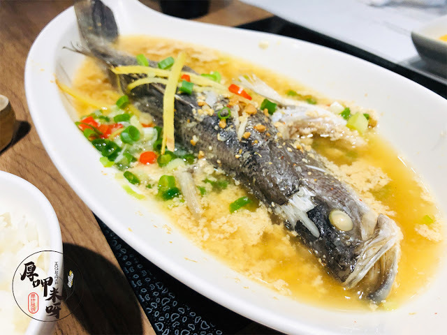 【厚呷米呀│桃園大溪】 豆佐和風料理餐廳 (DOZO LIFE) 豆製品料理才是主角的豆佐/家庭聚餐小桌用餐都很適合/六件式定食變化多口味滿足/料理細緻菜品時有創新/麻婆豆花滑嫩入口上菜時很有趣