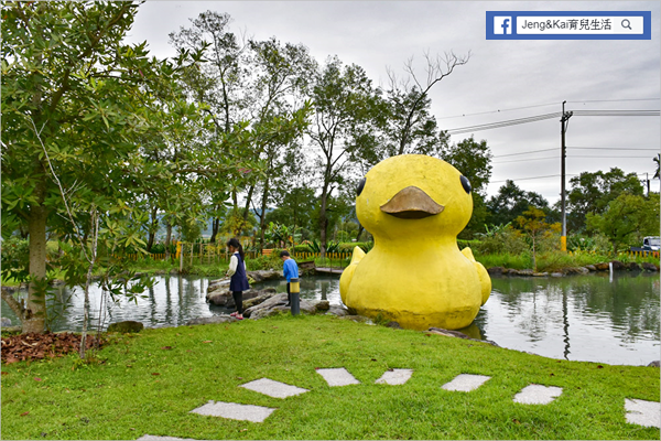 DSC_0207.png DSC_0207.png