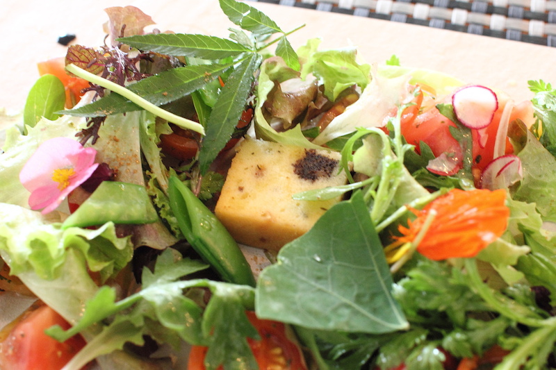 [食記] 南投 Hero Restaurant ヒーロー レストラン