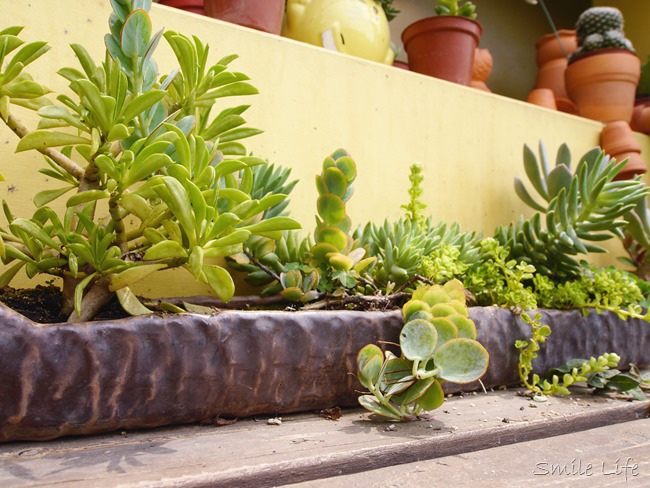 │食。頭份│儷池咖啡屋。自然鄉村童趣餐廳。草坪、餵魚親子近郊首選 │食。頭份│儷池咖啡屋。自然鄉村童趣餐廳。草坪、餵魚親子近郊首選