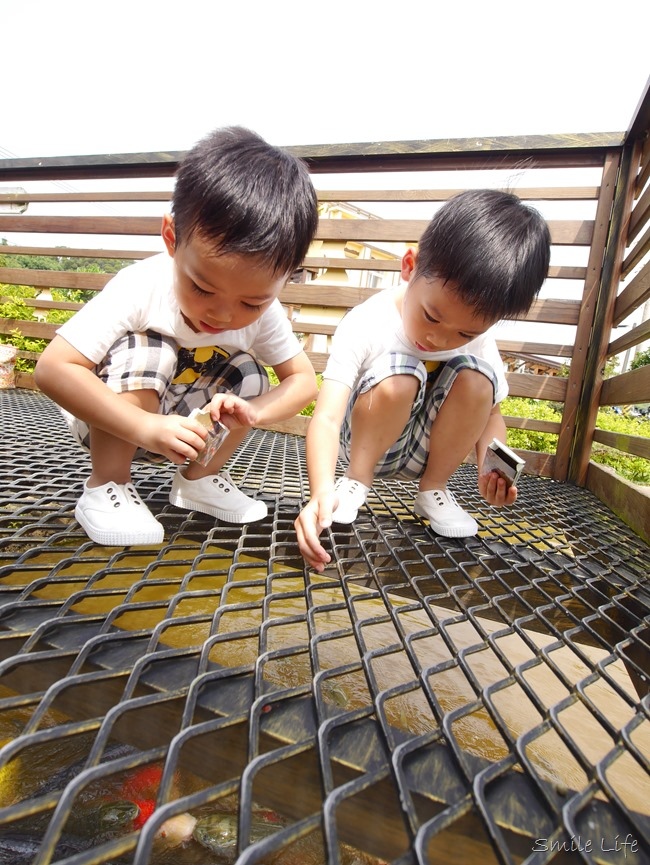 │食。頭份│儷池咖啡屋。自然鄉村童趣餐廳。草坪、餵魚親子近郊首選 │食。頭份│儷池咖啡屋。自然鄉村童趣餐廳。草坪、餵魚親子近郊首選