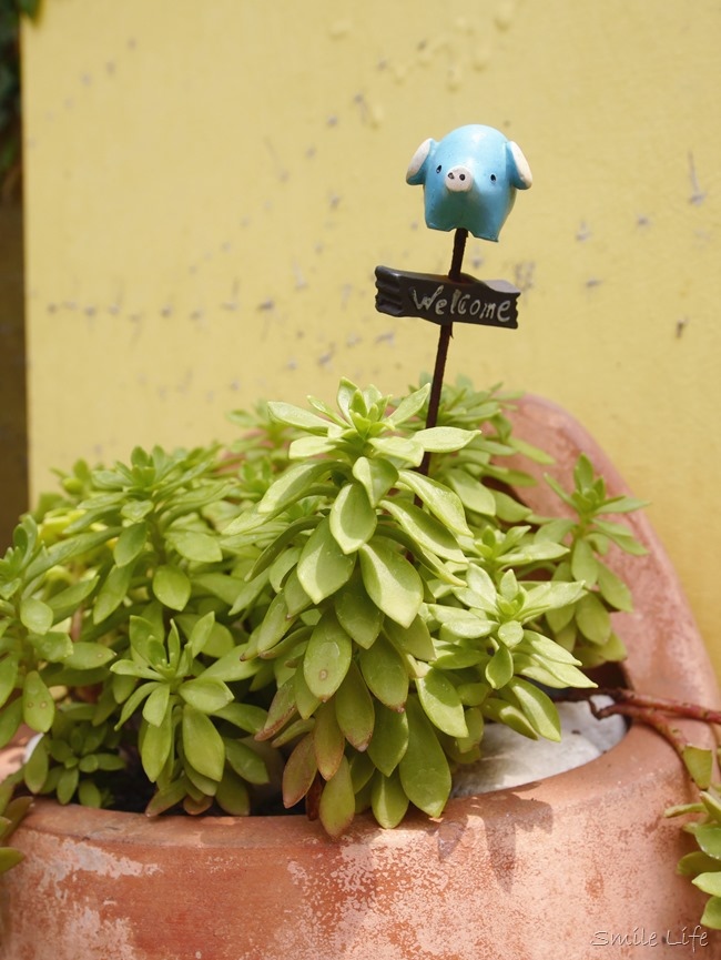 │食。頭份│儷池咖啡屋。自然鄉村童趣餐廳。草坪、餵魚親子近郊首選 │食。頭份│儷池咖啡屋。自然鄉村童趣餐廳。草坪、餵魚親子近郊首選