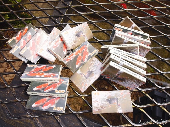 │食。頭份│儷池咖啡屋。自然鄉村童趣餐廳。草坪、餵魚親子近郊首選 │食。頭份│儷池咖啡屋。自然鄉村童趣餐廳。草坪、餵魚親子近郊首選