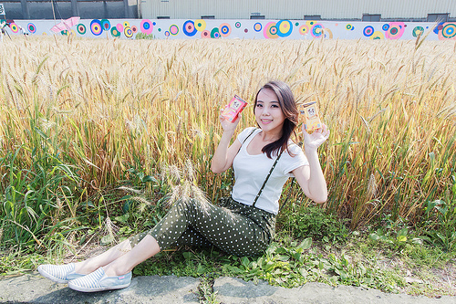 ╠桃園平鎮景點╣季節限定：3-4月 金黃麥田海 免跑台中 北部看的到