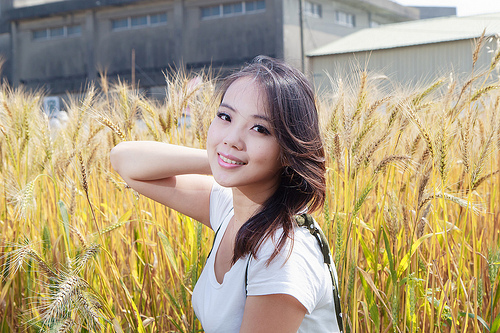 ╠桃園平鎮景點╣季節限定：3-4月 金黃麥田海 免跑台中 北部看的到