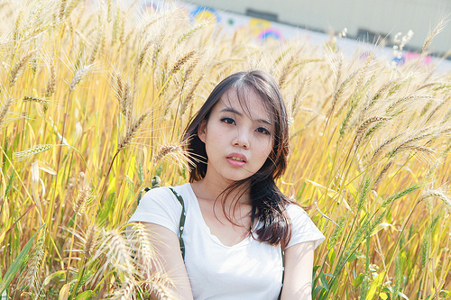 ╠桃園平鎮景點╣季節限定：3-4月 金黃麥田海 免跑台中 北部看的到