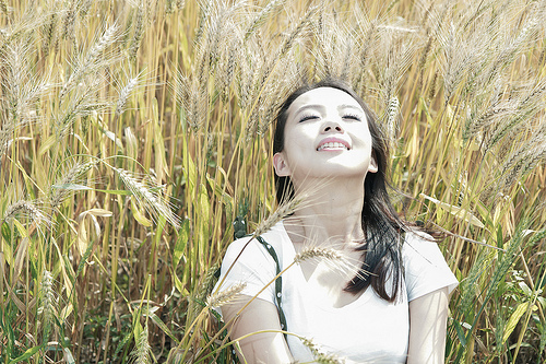 ╠桃園平鎮景點╣季節限定：3-4月 金黃麥田海 免跑台中 北部看的到